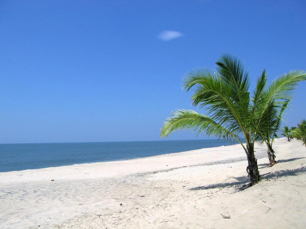Marari Felix Beach Homestay ماراريكولام المظهر الخارجي الصورة